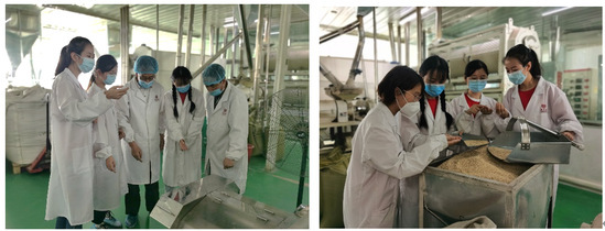 燕麥之香傳四方——青年紅色筑夢(mèng)之旅中的技術(shù)交流與產(chǎn)業(yè)賦能